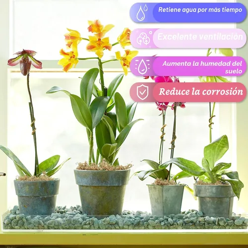 Vista 4 de Halatool Musgo de esfagnum de 3.6 onzas para plantas, musgo de orquídea