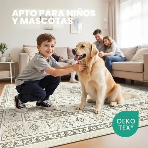 Vista 7 de zesthome Alfombras de área de 5 x 7 pies para sala de estar, alfombra