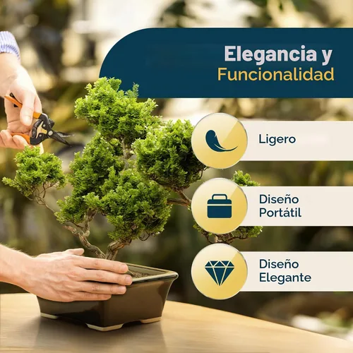 Vista 2 de Maceta para bonsái de cerámica esmaltada, maceta de cerámica para suculentas y plantas pequeñas, maceta rectangular negra perfecta para jardines