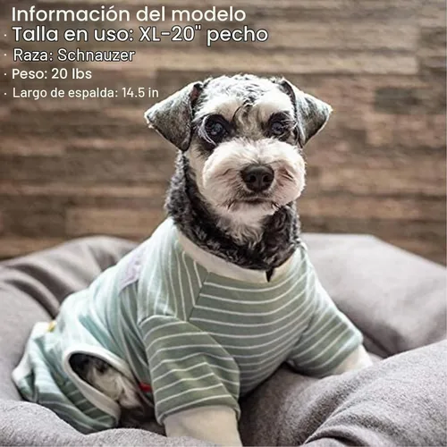 Vista 8 de KYEESE Pijama a rayas para perros pequeños, mameluco elástico para uso 01# Rayas verdes