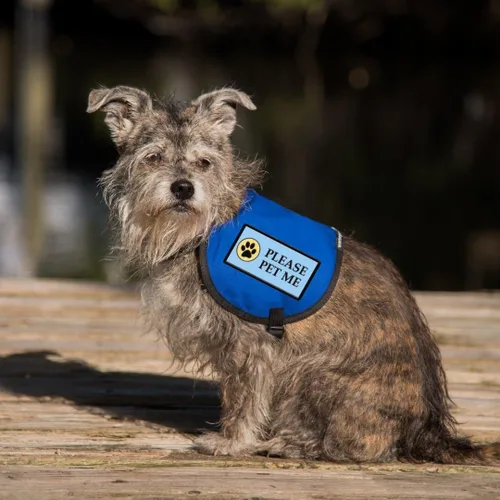 Vista 7 de Please PET ME - Parche cosido para perro de servicio o chaleco de terapia para perros – Parche de identificación bordado de alta visibilidad – 4 x 2