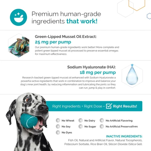 Vista 2 de Suplemento para articulaciones formulado por veterinarios con mejillón de labios verdes, aceite de pescado, Omega 3s y ácido hialurónico para apoyo