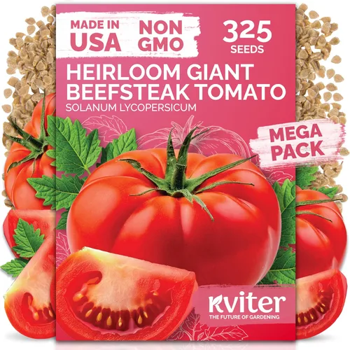 Vista 34 de KVITER 50 semillas de calabaza de azúcar orgánicas (Cucurbita Pepo) – Semilla de calabaza pequeña reliquia, carne dulce de grano fino para enlatar
