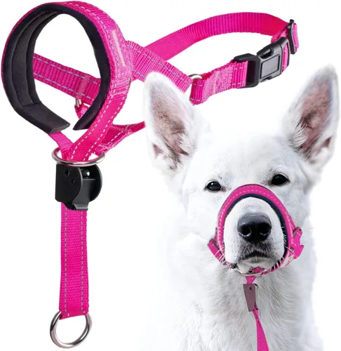 Vista 11 de GoodBoy Cabestro de cabeza de perro con correa de seguridad – Detiene los tirones pesados de la correa – Collar acolchado para perros pequeños