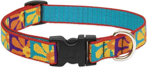 Vista 4 de Collar ajustable Rain Song para perro de Lupine, 1.9 cm., Margarita loca