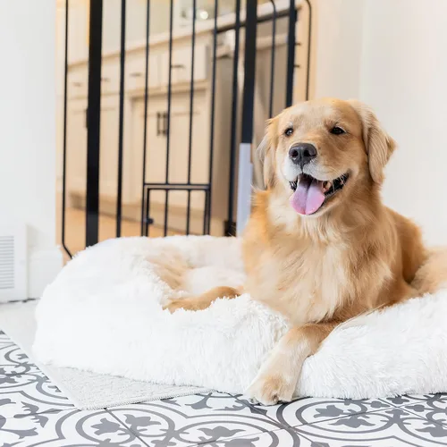 Vista 4 de Carlson - Puerta extra alta para mascotas con puerta pequeña para mascotas, para aberturas de 29 a 39 pulgadas de ancho, incluye kit de extensión