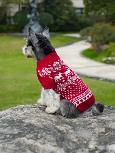 Vista 7 de Suéter para perros y gatos con motivos festivos, color rojo clásico, XS, Rojo