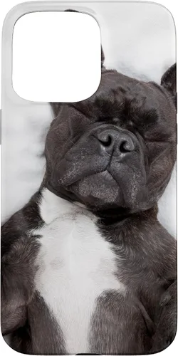 Vista 31 de Carcasa gráfica de Bulldog Francés para iPhone 17