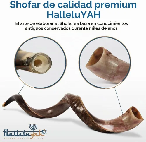 Vista 8 de Shofar de cuerno Kudu de Israel con soporte decorado por HalelluYAH