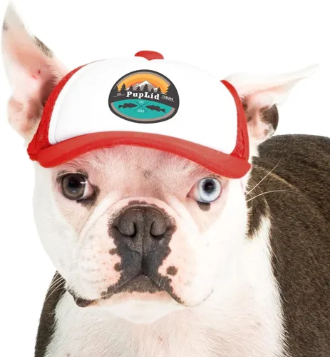 Vista 55 de Sunset Collection, sombreros de camionero de PupLid para perros (XXS) Protección solar elegante de alta calidad para el perro moderno, ajustable