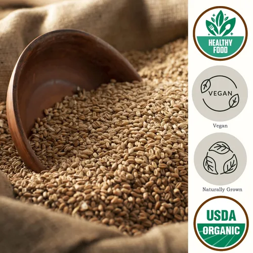 Vista 3 de Bayas de trigo blanco duro orgánico 5.8 lb - Granos integrales de dieta blanco (Hard White)