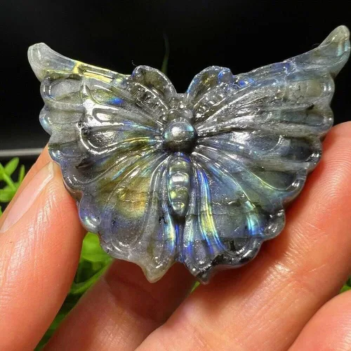 Vista 7 de TEAMWILL 2" natural labradorita tallada mariposa cráneo cuarzo cristal curativo Reiki