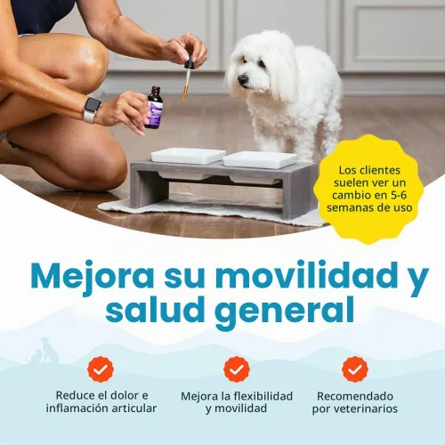 Vista 6 de Paramount Pet Health Glucosamina totalmente natural para perros – 260 mg de glucosamina para perros pequeños – Suplemento líquido