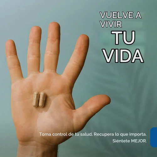 Vista 5 de NCL Andrographis Paniculata 1,200mg - 100mg Andrographolides, 120 Cápsulas
