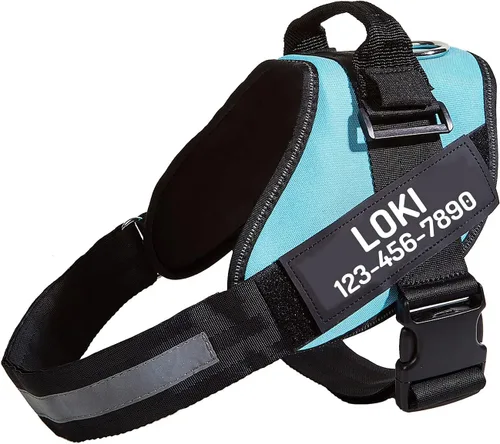 Vista 21 de Arnés personalizado sin tirones para perro con 2 parches personalizados para nombre y teléfono, chaleco reflectante transpirable para mascotas