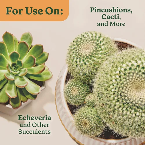 Vista 10 de Miracle-Gro Mezcla para macetas de interior para cactus y suculentas, mezcla para macetas de cactus y suculentas de drenaje rápido con alimentos