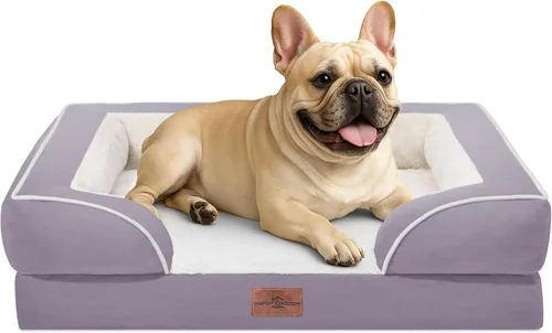 Vista 210 de Comfort Expression - Cama ortopédica para perros medianos, 28 x 19 pulgadas, cama impermeable y de apoyo de espuma con cojines removibles, sofá