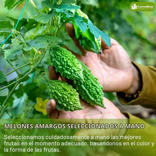 Vista 6 de Lavendium Bolsas de té de melón amargo, sin cafeína, 60