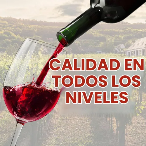 Vista 5 de Master Vintner kit para elaboración de vinos de reserva, recetas para elaborar vinos. Ingredientes para preparar 6 galones de vino casero