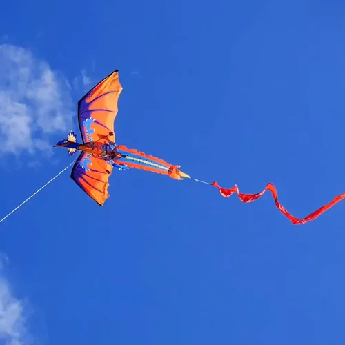 Vista 4 de HENGDA KITE-Upgrade Classical Dragon Kite Stereoscopic Dragon Kites for Kids & Adults Easy to Fly for Beginner Easter 63inch Single Line with Tail