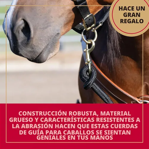 Vista 4 de Cuerda de Guía Weaver Equine Performance, Cuerda de Guía Larga para Caballo con Enganche Rápido para Cabestro, Agarre Suave y Cómodo, Equipo de Negro