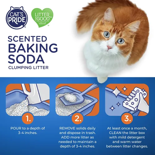 Vista 5 de Cat's Pride Arena aglutinante ligera: bicarbonato de sodio - Potente control de olores - perfumada, 10 libras