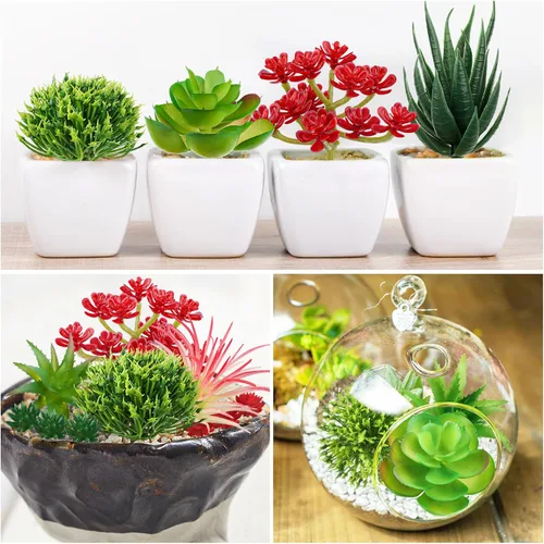 Vista 7 de QUOZUO Plantas suculentas artificiales, 16 plantas suculentas falsas para bricolaje, hogar, pared, jardín, oficina, fiesta, decoración colorida