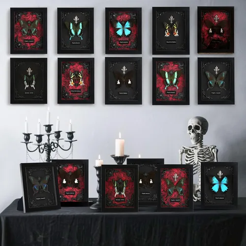 Vista 6 de Taxidermia de mariposas enmarcadas - Caja de sombra con mariposas, mariposas reales enmarcadas en una caja para estética de decoración del hogar