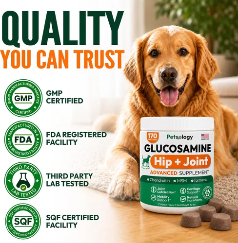 Vista 5 de Glucosamina para perros - Suplemento de cadera y articulaciones para perros - 170 masticables de movilidad - Glucosamina condroitina - MSM - Cúrcuma