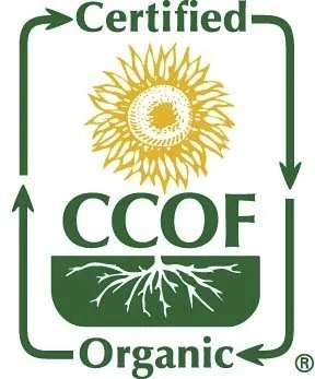 Vista 4 de McCabe Arroz dulce orgánico Arroz pegajoso glutinoso Arroz orgánico sin gluten y sin OGM rico en fibras y minerales Certificado orgánico USDA