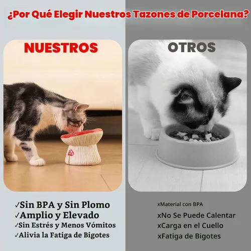 Vista 6 de Alimentador lento de cerámica para gatos, Tazón elevado de comida con forma de hongo lindo, Plato elevado poco profundo para gatos, Cuencos