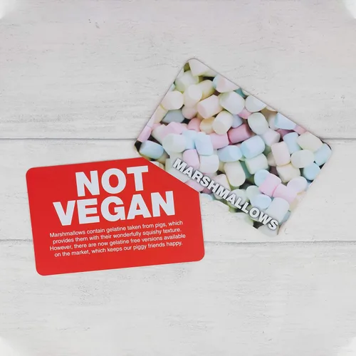 Vista 5 de Juego vegano no vegano - Adivina los productos veganos divertido juego de cartas flash - Divertido juego de adivinanzas de sí o no - adecuado