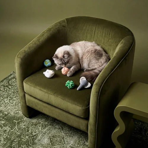 Vista 3 de Juguetes para gatos Juguete de peluche de animales terrestres (paquete de 5 unidades) Juguetes para gatos de interior Juguete ecológico hecho
