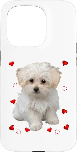 Vista 13 de Funda para iPhone 11 Maltipoo Mix Fans para amantes de los perros maltés