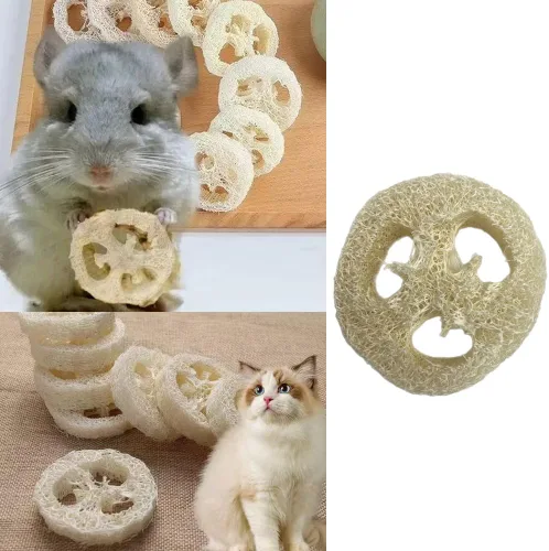 Vista 4 de Paquete de 15 juguetes masticables de conejo, sin aditivos, golosinas para moler dientes, lufa natural, juguetes masticables para masticar dientes