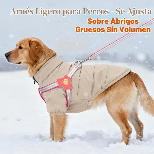 Vista 4 de COODEO Arnés antitirones para perro con tiras reflectantes y acolchado transpirable y diseño antiescape, entrenamiento y paseo de perros de ajuste