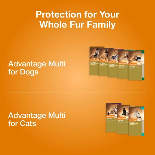 Vista 8 de Advantage Multi Solución tópica para perros 1 dosis, 20.1-55 lbs (rojo)