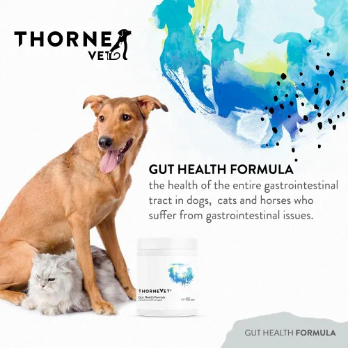 Vista 2 de ThorneVET Fórmula de salud intestinal: apoyo gastrointestinal para perros, gatos y caballos, 180 cucharadas