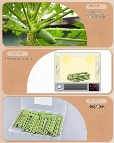 Vista 5 de Bissap 35 palitos masticables de conejo, tallos naturales de papaya, golosinas masticables para conejo, hámster, chinchilla, conejillo de indias