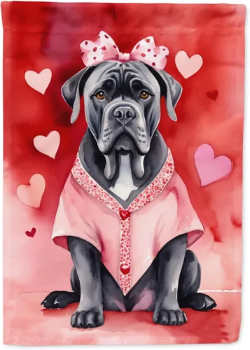 Vista 99 de Caroline's Treasures DAC5252GF Affenpinscher - Bandera de jardín con texto en inglés "My Valentine", bandera decorativa para patio exterior, patio