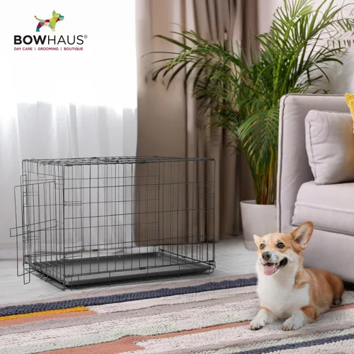 Vista 7 de BOWHAUS Bandeja de plástico resistente e impermeable de 22.7 pulgadas para mascotas de 24 pulgadas, criadero de conejo, hurón, sartén versátil