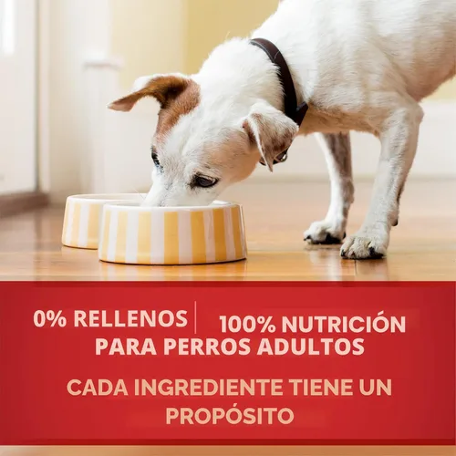 Vista 9 de Purina ONE Tender Cuts in Salsa de carne de res y cebada en salsa húmeda para perros (paquete de 12) latas de 13 onzas Tender Cuts in Gravy