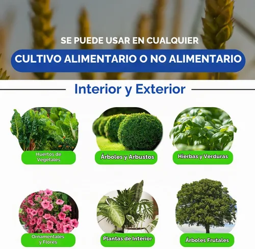 Vista 7 de AgroMagen, Si-Tech Solución nutritiva de sílice, ácido monosilícico para plantas con tecnología de quelación (4 onzas líquidas)