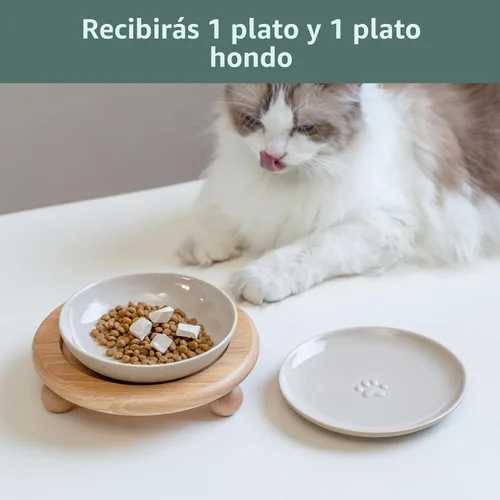 Vista 6 de Havniva Cuencos elevados para gatos, juego de cuencos de comida y agua para Latte Vintage