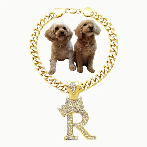 Vista 46 de Collar de cadena con letra inicial cubana para perro, collar de cadena para mascotas, gato, collar para cachorro (S, 25 cm)