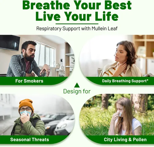 Vista 3 de vivcmin Gotas de gordolobo para pulmones con regaliz y astrágalo, apoyo respiratorio e inmunológico, desintoxicación pulmonar para fumadores