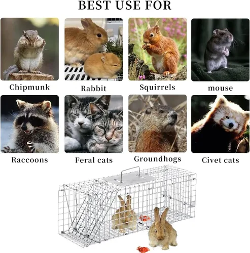Vista 3 de Trampas para animales, trampa de animales vivos para gatos, conejos, ardillas, trampa para gatos callejeros, trampas vivas para mapaches, plegable
