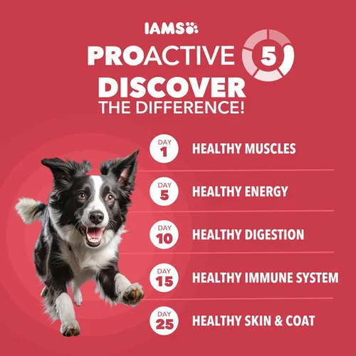 Vista 2 de Iams Proactive Health Comida seca para perros adultos – croquetas Minichunk