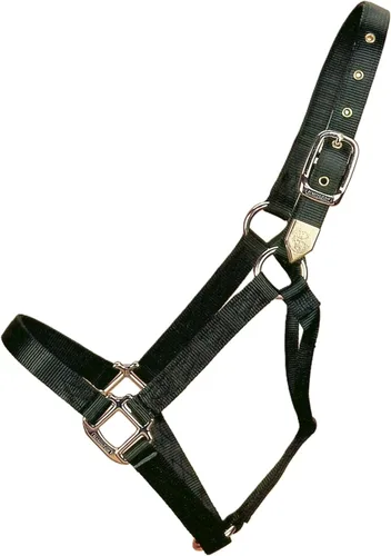 Vista 14 de Hamilton Caballo de nailon de 1 pulgada, tamaño pequeño (500-800 libras), azul baya