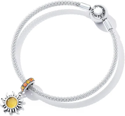 Vista 110 de Abalorios de plata de ley para pulseras, collares, familia para siempre, circonita cúbica, regalo de joyería para mujeres